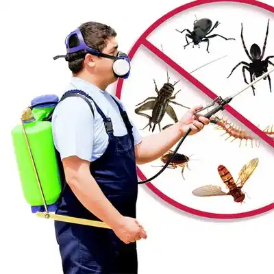 pest control Sacred Heart